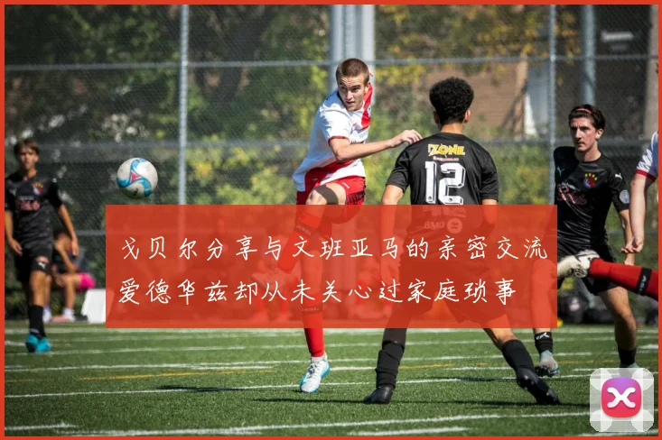戈贝尔分享与文班亚马的亲密交流爱德华兹却从未关心过家庭琐事