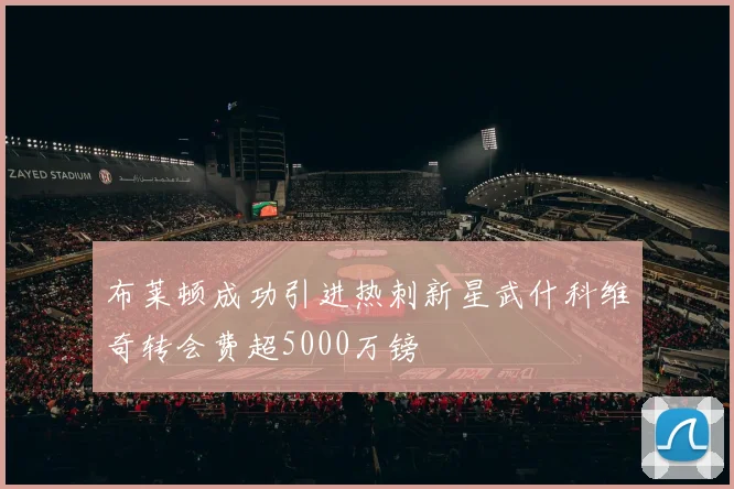 布莱顿成功引进热刺新星武什科维奇转会费超5000万镑