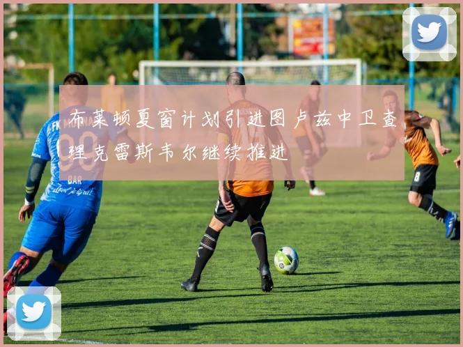 布莱顿夏窗计划引进图卢兹中卫查理克雷斯韦尔继续推进